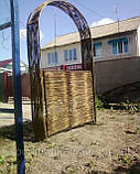 Плетінь тин лоза Забори, огорожі, огорожі в Україні, фото 3