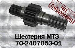 Шестірня МТЗ тягова (права) 70-2407053-01 коротка