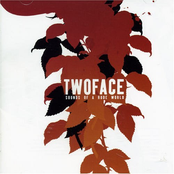 Музыкальный CD-диск. Twoface - Sounds of a Rude World