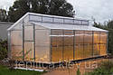 Теплиця Мітлайдера 4х6 стандарт 8 мм, фото 3