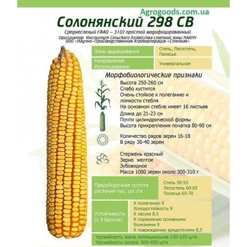 Кормова кукурудза Солонянський 298 СВ гібрид середньо-ранній кукурудзи на зерно, відмінна посухостійкість, фото 1