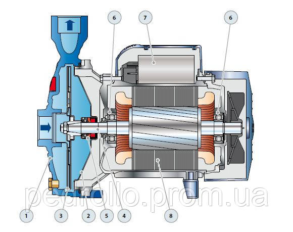 Центробежный насос Pedrollo CPm-100 - фото 4 - id-p213226067