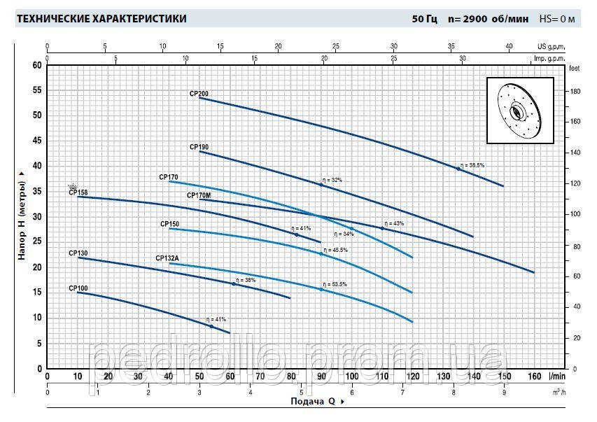 Центробежный насос Pedrollo CPm-100 - фото 2 - id-p213226067