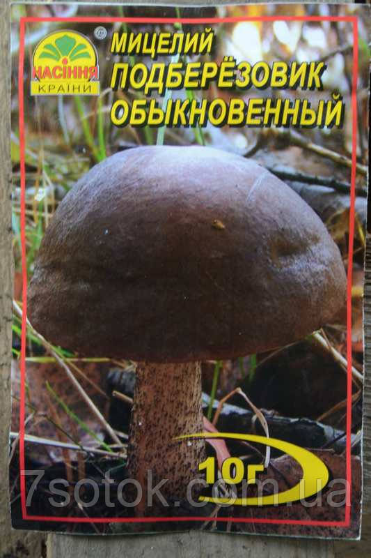 Мицелий гриба Подберезовик обыкновенный, 10г - фото 1 - id-p513203838