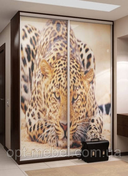 Шафа-купе МШК 1900х450х2400