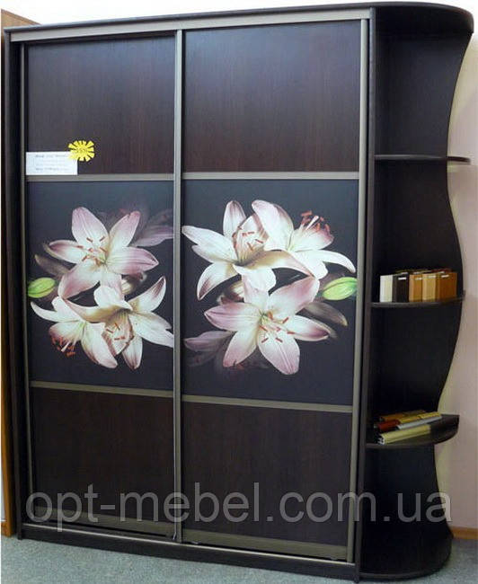 Шафа-купе ШК-03 2000x450x2200