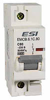 Модульный автоматический выключатель EMCB.601C100, 6кА, 1п, х-ка С, 100А