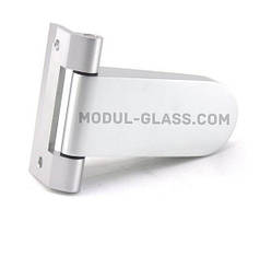 312 петля прапорцева