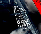 Фландське був'яте стикер, фото 2