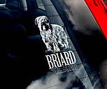 Бриар стикер, фото 2