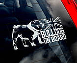 Англійський Бульдог-стикер, фото 2