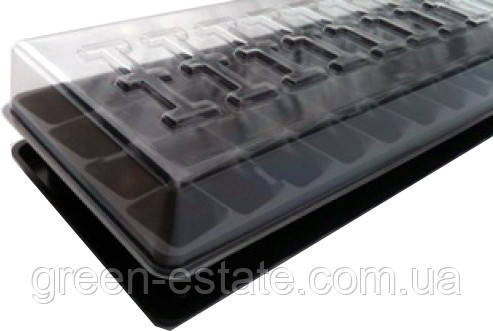 Парник для розсади на 40 осередків