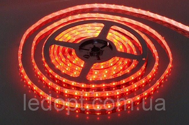 Світлодіодна стрічка SMD3528 9,6 W 120 LED/m IP20 RED червоний