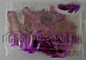 Пір'яна фазана фіолетові 4-8 см/50 шт.