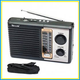 Радіоприймач Golon RX-F10UR