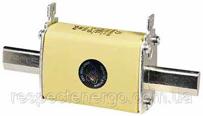 Ножовий запобіжник, 100 А, типорозмір 1, фото 1