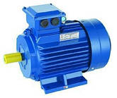 Електродвигун асинхронний трифазний АІР63 В2 0,55 кВт/380В/3000об (асинхронний двигун)