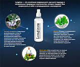 Спрей для продовження статевого акту Longinex (Лонгинекс), фото 2