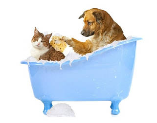 Шампуні для тварин