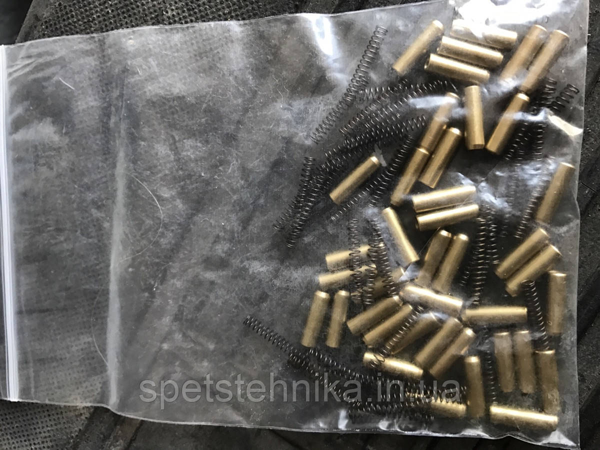 Пружина з обоймою обгінної муфти (комплект пружин 40 + 40 роликів) ZL40/50