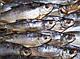 Сушилка для рыбы ,фруктов,овощей защитит от насекомых 5 полочек 40*40*100см, фото 3