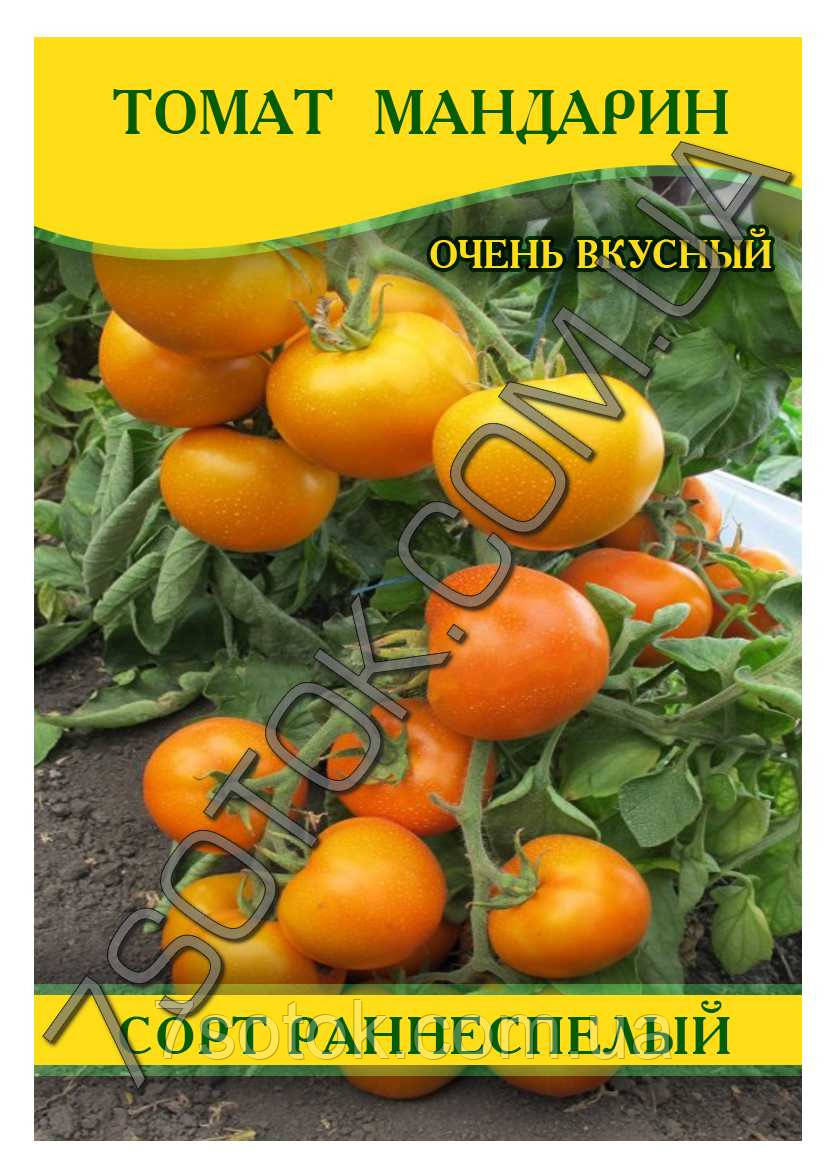 Насіння томату Мандарин, 50г