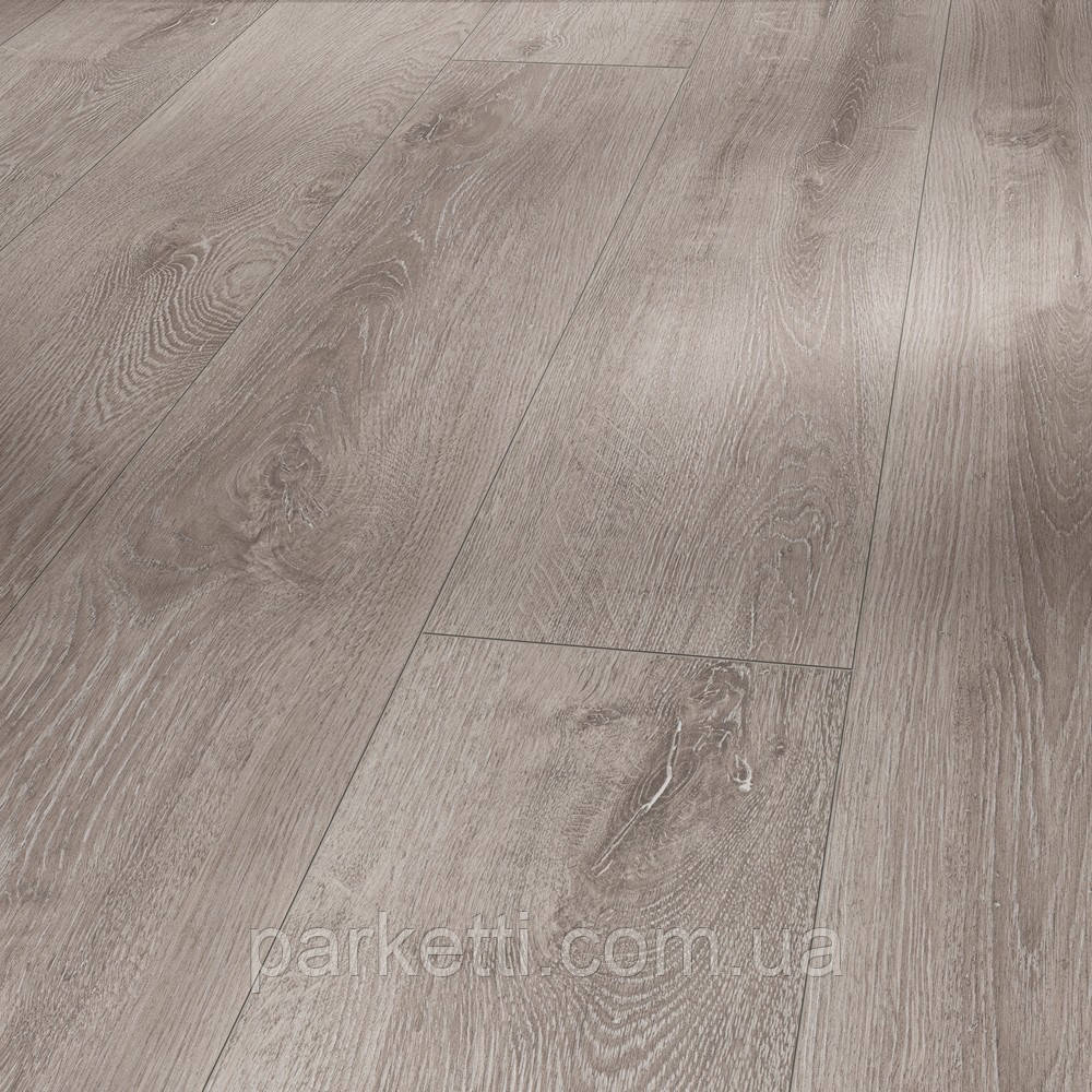 Ламінат Parador 1593852 Basic 600 V4 Дуб світло-сірий 243x2200, фото 1
