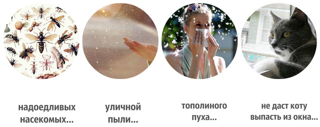 Для чего нужны москитные сетки и от чего они защитят?  Москитная сетка была создана специально для пластиковых окон и дверей и их надежной защиты от: