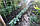 Сітка огіркова шпалера (1.7 м х 10 м) Сітка для огірків, фото 4