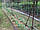 Сітка огіркова шпалера (1.7 м х 1000 м) Сітка для огірків, фото 2
