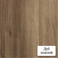 Двері міжкімнатні Дзеркало 3 ПВХ КР дуб золотий, фото 2