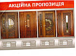МДФ Накладки на нестандартні двері, фото 9