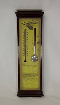 Термометр і індикатор погоди, штормглас, Storm glass (18630), фото 2