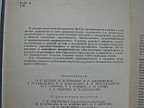 Рушник російського літературного словоспоживання (б/у)., фото 6