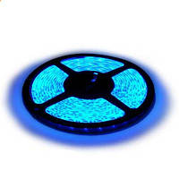 Світлодіодна LED стрічка SMD 5050-60 B синя негерметична IP20
