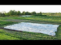 Агроволокно - час починати сезон посадки