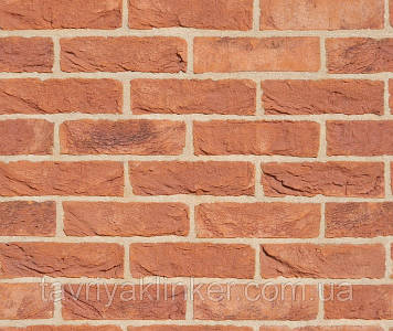 Цегла клінкерна ручного формування "Selmo" (rustic) Praga