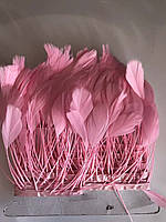 Перьевая тесьма из перьев антенок.Цвет розовый.Цена за 0,5м