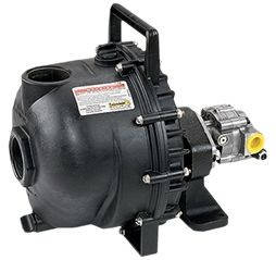 Мотопомпа Banjo 300 PHY