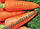 Насіння морква Каротель, фото 3