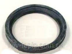 0020033946 Ущільнення фланця бойлера 150, 200л. Protherm, фото 1