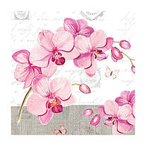 Декупажних серветка "Гілочка орхідеї", 33 * 33 см, 18 г / м2, Ambiente, 13309955