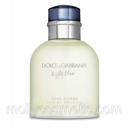 DOLCE & GABBANA LIGHT BLUE POUR HOMME