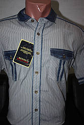 Сорочка з коротким рукавом батальна Bendu