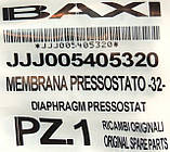 Діафрагма 45 мм без вушка 3 хід. (ф.у, EU) Baxi Eco/ Luna// Western Energy/ Star, арт. 5405320, к.з. 0864/2, фото 4