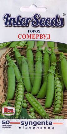 Насіння Горох цукровий Сомервуд 50 насіння Syngenta, фото 1