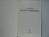 Словський Р.Е. Брати Нікітіни (б/у)., фото 6