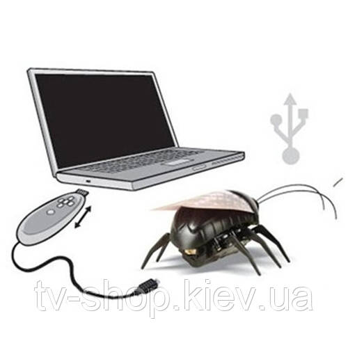 Муха на р/керуванні (2 різновиди), фото 1