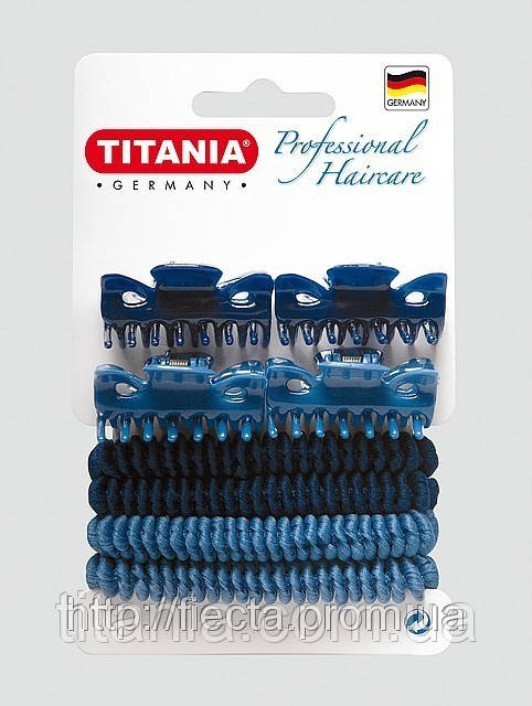 Набір затискачів для волосся TITANIA 8001