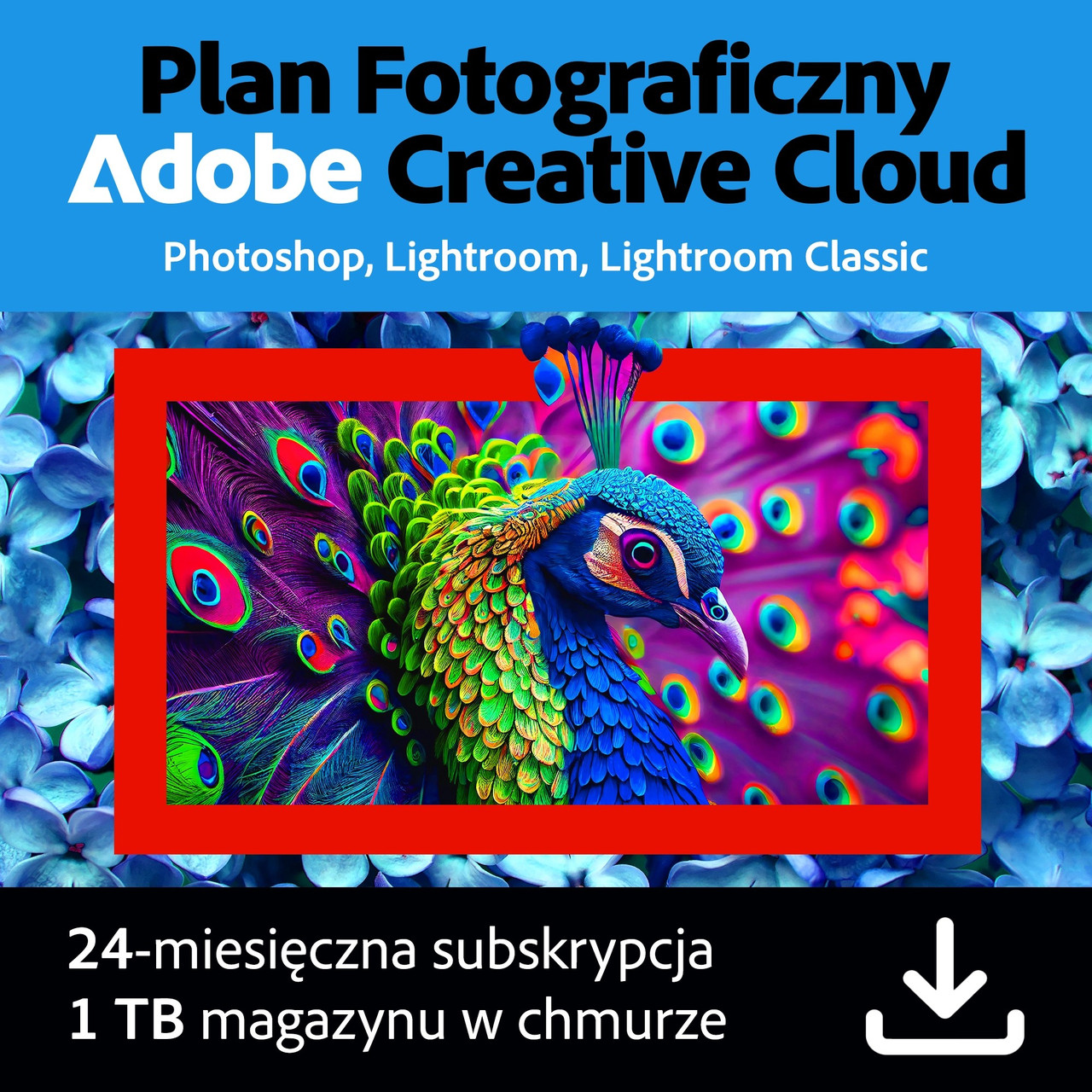 Програма Adobe Creative Cloud Photography Plan 2 роки Код активації, фото 1